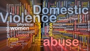 A Look at the Domestic Violence Case by Scott and Nolder 
