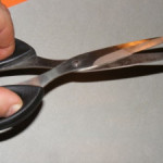 Naming a castration motion for reduced sentence on sexual assault case?